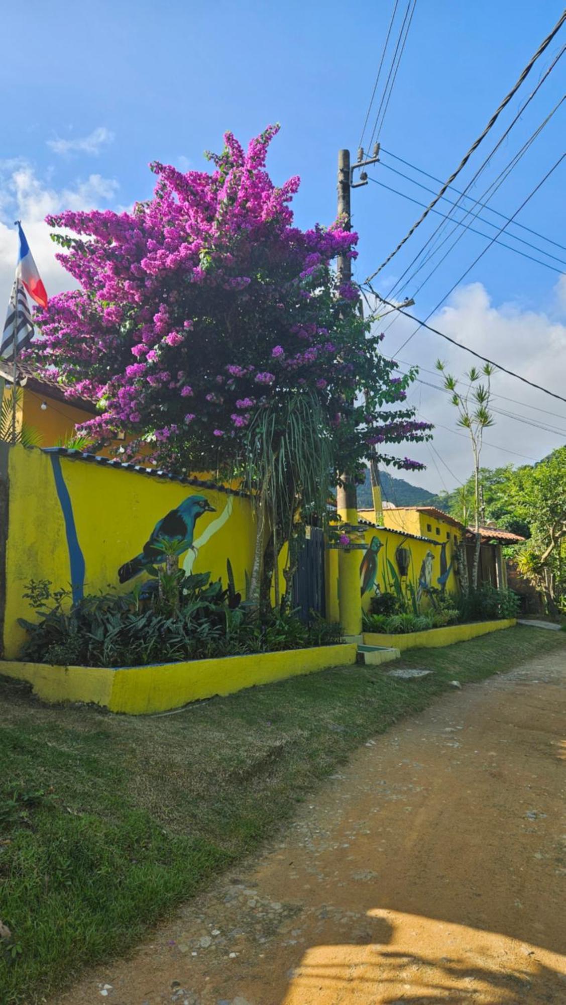 Villa Casa Dos Franceses Ilha Grande Extérieur photo